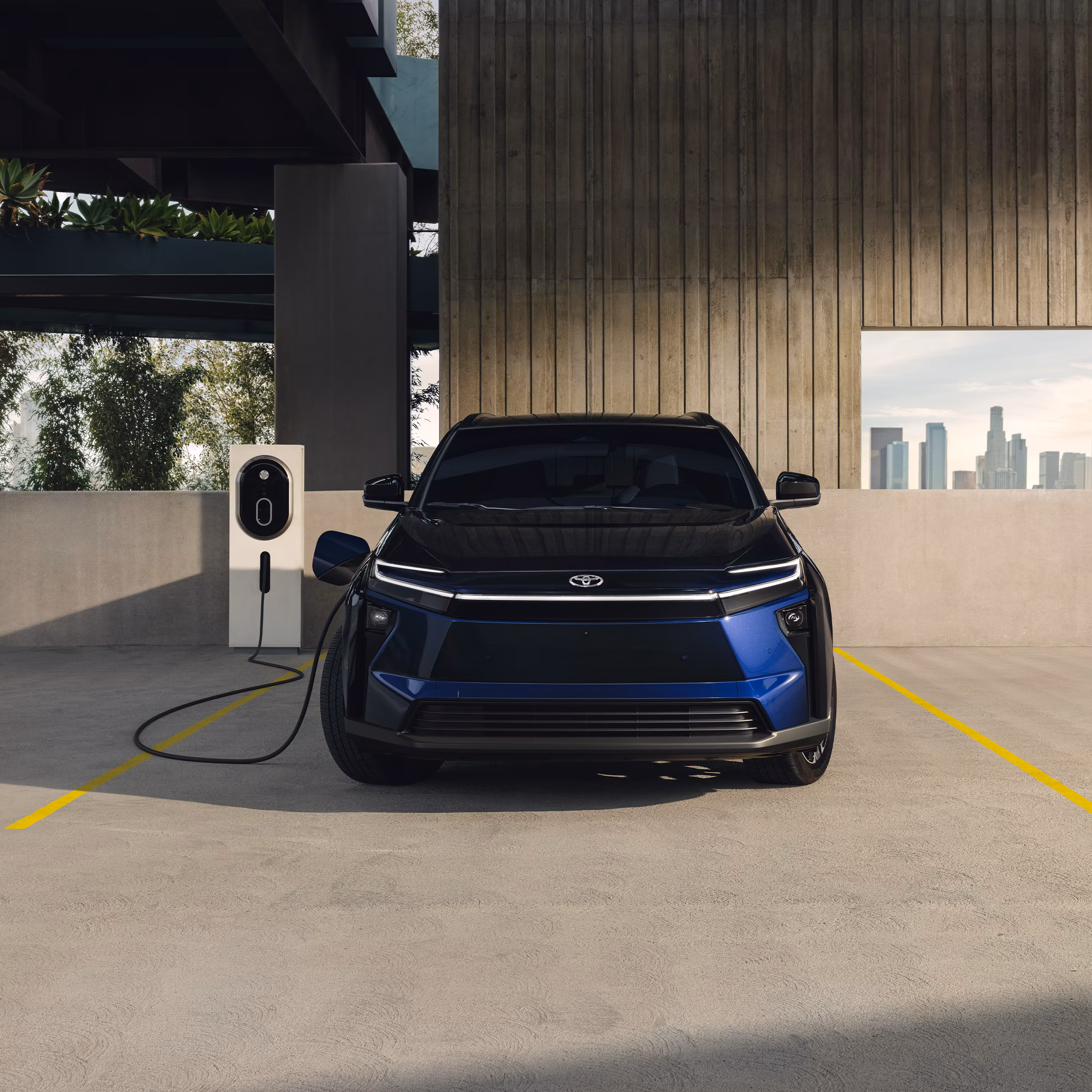 bZ4X - ADN Hammerhead